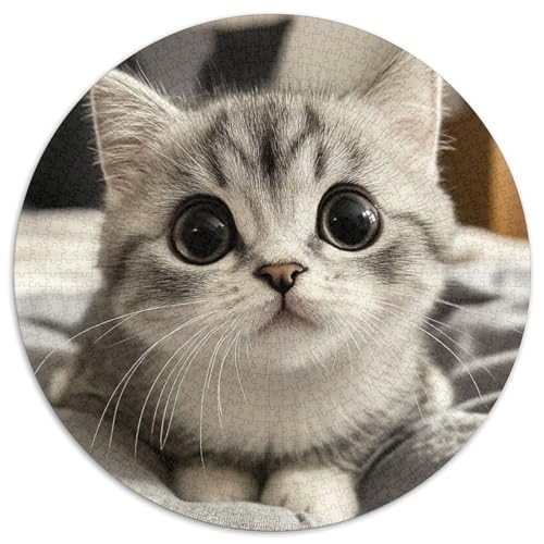 Cute Cat 1000 Teile Rundes Puzzle Schwer Stressabbau Spielzeug Fü Erwachsene Puzzles Geschenke Von Spielzeug Für Erwachsene Kinder Für Erwachsene 1000pcs (67.5x67.5cm) von JRVASNXOP