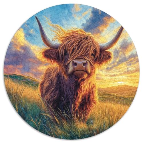 Highland Cattle 1000 Teile Rundes Puzzle Schwer Stressabbau Spielzeug Fü Erwachsene Puzzles Für Wand Dekoration Pädagogisches Stressabbau Für Erwachsene 1000pcs (67.5x67.5cm) von JRVASNXOP