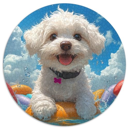 Maltese 1000 Teile Rundes Puzzle Pädagogisches Stressabbau Puzzle Geschenke Von Pädagogisches Stressabbau Für Erwachsene Und Kinder 1000pcs (67.5x67.5cm) von JRVASNXOP