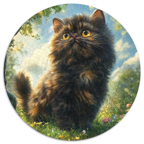Persian Cat 1000 Teile Rundes Puzzle Pädagogisches Stressabbau Puzzle Geschenke Von Spielzeug Für Erwachsene Kinder Für Erwachsene 1000pcs (67.5x67.5cm) von JRVASNXOP