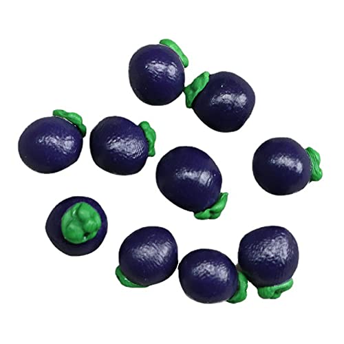 JSGHGDF 10pcs Obstharz Früchte Ozeanflasche Obst Figuren Mädchen Joint Für Puppenhaus Zugang von JSGHGDF