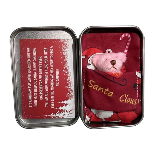 JSGHGDF Festliche Weihnachts Pocket Bär Umarmung Bär Plüsch Bärenspielzeug In Einem Blechkasten Stofftier Mit Grußkarten Kinder Geschenk von JSGHGDF