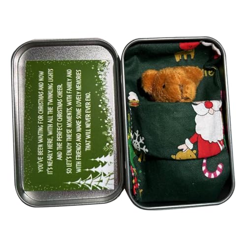JSGHGDF Festliche Weihnachts Pocket Bär Umarmung Bär Plüsch Bärenspielzeug In Einem Blechkasten Stofftier Mit Grußkarten Kinder Geschenk von JSGHGDF