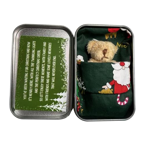JSGHGDF Festliche Weihnachts Pocket Bär Umarmung Bär Plüsch Bärenspielzeug In Einem Blechkasten Stofftier Mit Grußkarten Kinder Geschenk von JSGHGDF