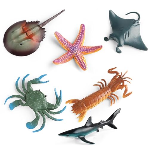 JSGHGDF Insekten Figur Kinder Spielzeugmodell Figure Realistische Meer Spielzeug Aquarien Ausrüstung Lieferungen 6pcs JSGHGDF Insekten Figur Kinder Spielzeugmodell Figure Realistische Meer Spielzeug Aquarien Ausrüstung Lieferungen 6pcs von JSGHGDF