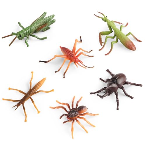 JSGHGDF Insekten Figur Kinder Spielzeugmodell Figure Realistische Meer Spielzeug Aquarien Ausrüstung Lieferungen 6pcs JSGHGDF Insekten Figur Kinder Spielzeugmodell Figure Realistische Meer Spielzeug Aquarien Ausrüstung Lieferungen 6pcs von JSGHGDF