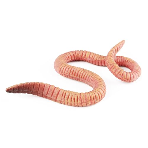 JSGHGDF Niedliche Insekten Figuren Oramentrealistische Figuren Plastikhandwerk Rasen Landschaft Hinterhof Desktop Dekorationen von JSGHGDF