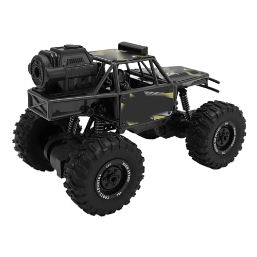 JTLB 2,4 G RC -Off -Straßenauto mit Spray und Leichten 5 -Kanal -WLAN -Fernbedienungsauto -Spielzeug für Kinderlegierung (Schwarz) von JTLB