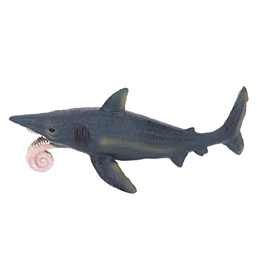 JTLB Hai-Spielzeug, Simulationsmodell, Lebensecht, Lebendig, Pädagogisches Helicoprion-Modell, Spielzeug, Meerestier, Hai-Spielzeug für von JTLB
