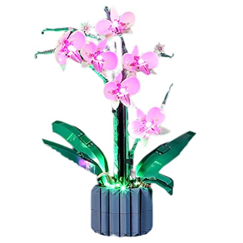 Orchideen-Bausatz, LED-Lichtset, Kompatibel mit Lego 10311, Pflanzendekoration für Zuhause und Büro (nur Lichtset, kein Lego-Modus). (klassischer Stil) von JTLB