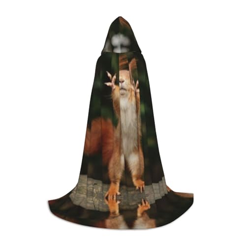 Kapuzenumhang mit Eichhörnchen-Motiv, lustiger Tierdruck, für Teenager, stilvoll, bequem, für Kinder, Teenager Kapuzenumhang mit Eichhörnchen-Motiv, lustiger Tierdruck, für Teenager, stilvoll, bequem, für Kinder, Teenager von JUANYQME