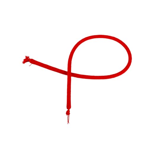 JUFYVO Deluxe Steifes Seil Close Up Magic Street Stage Illusion Gimmick Magic Trick Comedy Requisiten Red Rope Gimmick Tool für Zaubertricks JUFYVO Deluxe Steifes Seil Close Up Magic Street Stage Illusion Gimmick Magic Trick Comedy Requisiten Red Rope Gimmick Tool für Zaubertricks von JUFYVO