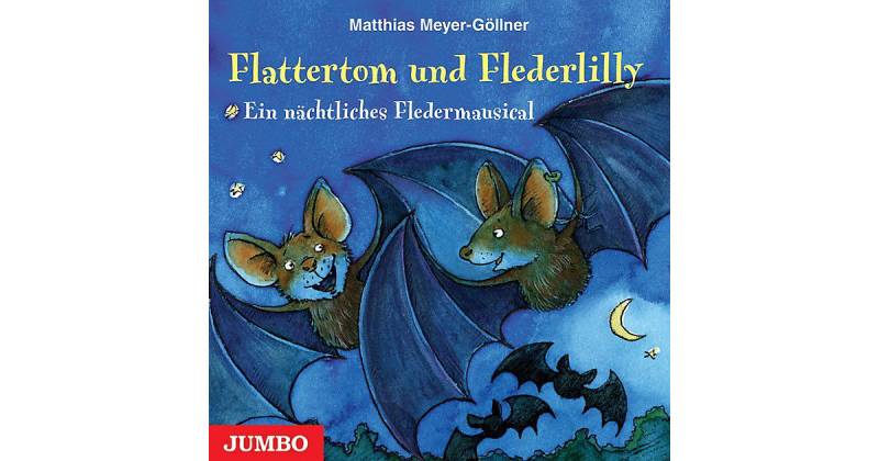 Flattertom und Flederlilly, Audio-CD Hörbuch von JUMBO Verlag