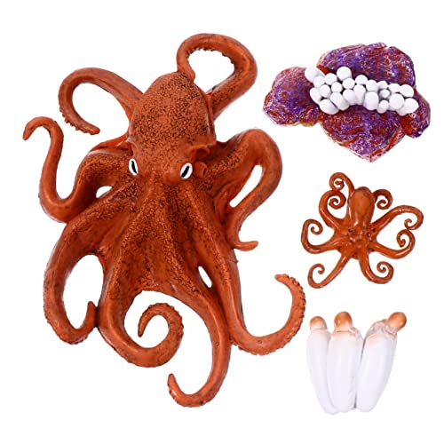JUMPLAWN Pädagogisches Mini-Spielzeug Für Meerestiere Oktopus Meerestiere Simulationsmodell Heimdekoration Lernspielzeug Für Jungen Und Mädchen von JUMPLAWN