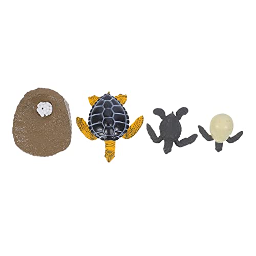 JUMPLAWN Pädagogisches Kinderspielzeugset Schildkröten-wachstumszyklus-Modell Für Kognitives Spielzeug Sichere Praktische Simulationszyklusfiguren JUMPLAWN Pädagogisches Kinderspielzeugset Schildkröten-wachstumszyklus-Modell Für Kognitives Spielzeug Sichere Praktische Simulationszyklusfiguren von JUMPLAWN