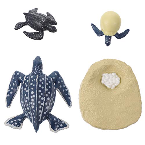JUMPLAWN 1 Set Kognitives Lebensmodell Kinderspielzeug Modelle Meeresschildkröte Meerestierspielzeug Lederschildkröten Figur Schmuck Kognitives Gefälschte Schildkrötenfigur Kunststoff JUMPLAWN 1 Set Kognitives Lebensmodell Kinderspielzeug Modelle Meeresschildkröte Meerestierspielzeug Lederschildkröten Figur Schmuck Kognitives Gefälschte Schildkrötenfigur Kunststoff von JUMPLAWN