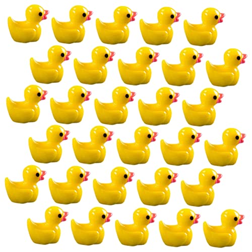 JUMPLAWN 100Stücke Dekorative Mini Figuren Aus Harz Ducks Für DIY Garten Und Dekoration Miniaturen Für Puppenhaus Und Kreative von JUMPLAWN