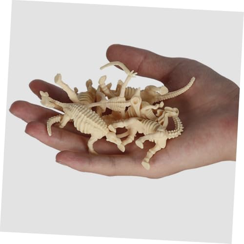 JUMPLAWN 12 Stück Teiliges Dinosaurier Skelett Realistische Figuren zum Zusammenbauen Pädagogisches Archäologie Modell für Ab Jahren Fördert Kreativität und Lernspaß JUMPLAWN 12 Stück Teiliges Dinosaurier Skelett Realistische Figuren zum Zusammenbauen Pädagogisches Archäologie Modell für Ab Jahren Fördert Kreativität und Lernspaß von JUMPLAWN