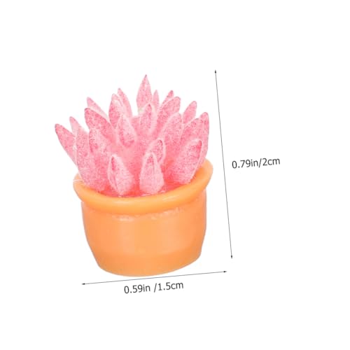 JUMPLAWN 12 Stück Teiliges Miniatur Künstliche Sukkulenten im Topf Realistische Mini Pflanzen für Puppenhaus Mini Garten Feengarten Dekoration Vielseitige Mikro Landschaftsdeko von JUMPLAWN