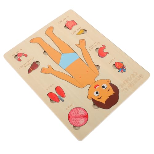 JUMPLAWN 1Satz Bildungsorgane Puzzle Aus Holz Sensibilisierungswerkzeug Für Frühen Erkennung Menschlicher Körperteile Lehrreiches Montessori Für Jungen JUMPLAWN 1Satz Bildungsorgane Puzzle Aus Holz Sensibilisierungswerkzeug Für Frühen Erkennung Menschlicher Körperteile Lehrreiches Montessori Für Jungen von JUMPLAWN