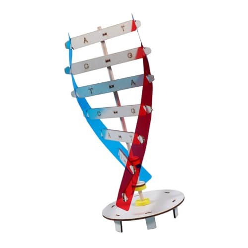JUMPLAWN 1Satz DNA Modell Für DIY Doppelhelix Lernspielzeug Für Biologieunterricht Modell Menschlicher Gene Pädagogisches Für Wissenschaft Im Klassenzimmer von JUMPLAWN