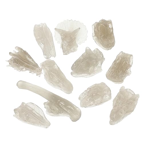 JUMPLAWN 1Satz Leuchtendes Dinosaurier Schädelmodell Dinosaurier Fossilspielzeug Lehrreiche Dino Figur Für Leicht Und Tragbar Fördert Erkennung Und Praktische Fähigkeiten von JUMPLAWN