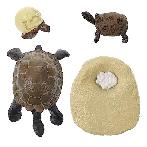 JUMPLAWN 1Satz Schildkröten Lebenszyklus Modelle Kognitive Tierwachstum Figuren für Realistische Simulation und Lernspielzeug für Naturwissenschaften für Neugierige von JUMPLAWN