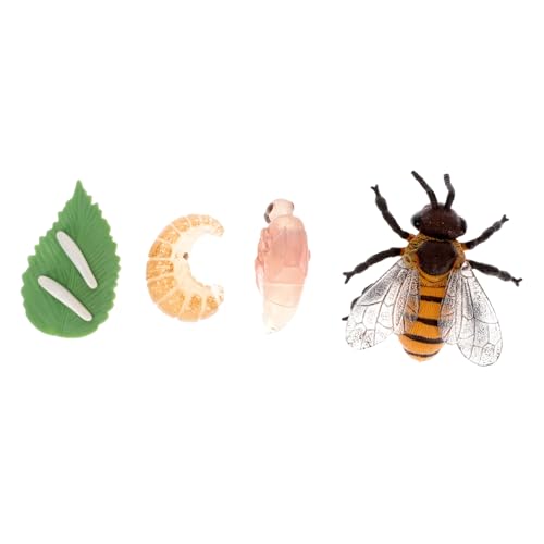 JUMPLAWN 1Satz Simulation Bienenmodell Insektenwachstumsmodelle für Lehrreiches Wissenschaftsspielzeug für Vorschule Kreative Spiele und Schulprojekte Fördert Fantasie JUMPLAWN 1Satz Simulation Bienenmodell Insektenwachstumsmodelle für Lehrreiches Wissenschaftsspielzeug für Vorschule Kreative Spiele und Schulprojekte Fördert Fantasie von JUMPLAWN