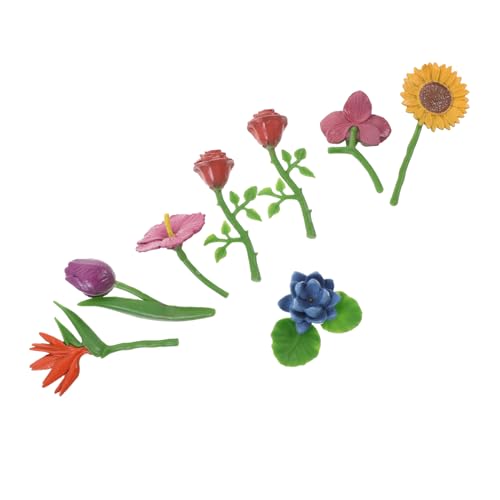 JUMPLAWN 1Satz Teiliges Blumenmodelle Simulierte Blumendekoration für Landschaftsmodelle für Puppenhäuser Tischdekoration und Kreative Bastelprojekte JUMPLAWN 1Satz Teiliges Blumenmodelle Simulierte Blumendekoration für Landschaftsmodelle für Puppenhäuser Tischdekoration und Kreative Bastelprojekte von JUMPLAWN