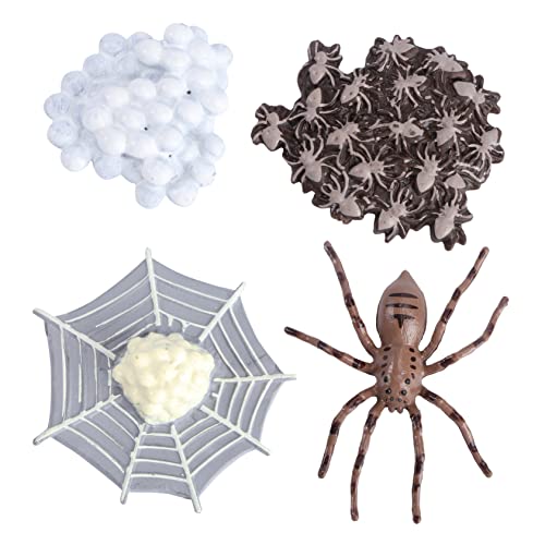 JUMPLAWN 1Satz Tierspielzeugmodell mit Realistischen Spinnen und Insekten für Lernspiele Geeignet als Partydeko für Naturwissenschaftliche Bildung von JUMPLAWN