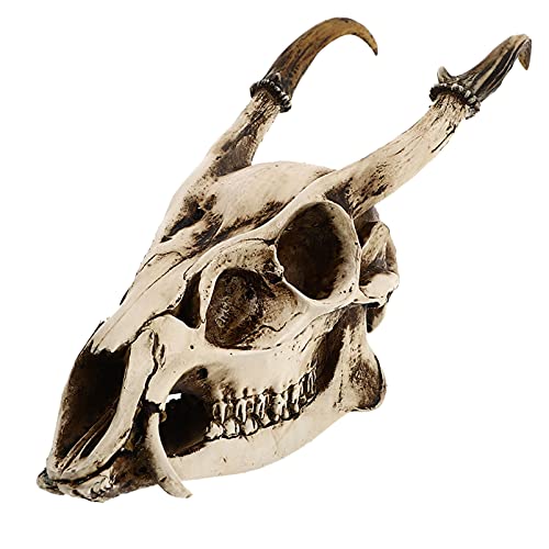 JUMPLAWN 1Stück Kreatives Schädelmodell aus Harz Exquisites Deko Element für Aquarien und Tischschmuck Realistisch und für Halloween und Gruselige Anlässe von JUMPLAWN