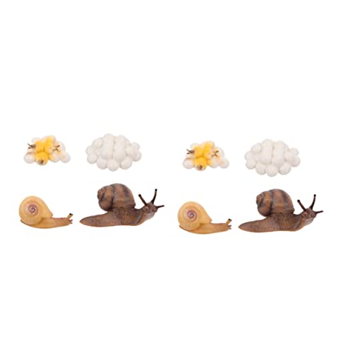JUMPLAWN 2 Sätze Simulierte Schneckenverzierungen Wachstumszyklus- -kit Wachstumszyklusfiguren Wachstumszyklus Tierfiguren Lebenszyklusfiguren Lebenszyklus Plastik JUMPLAWN 2 Sätze Simulierte Schneckenverzierungen Wachstumszyklus- -kit Wachstumszyklusfiguren Wachstumszyklus Tierfiguren Lebenszyklusfiguren Lebenszyklus Plastik von JUMPLAWN