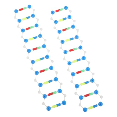 JUMPLAWN 2 Stück DNA Doppelhelix Strukturmodelle Molekulares Modell Kit zur Biologischen Bildung für Schüler und Universitäten für Experimente und Unterricht von JUMPLAWN