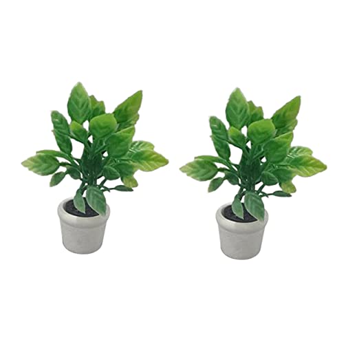 JUMPLAWN 2stücke Mini Bonsai Künstliche Pflanze Für Puppenhaus Dekorative Topfpflanze Für Modellbau Und Projekte Simulation Grünpflanze Für Wohnaccessoires von JUMPLAWN