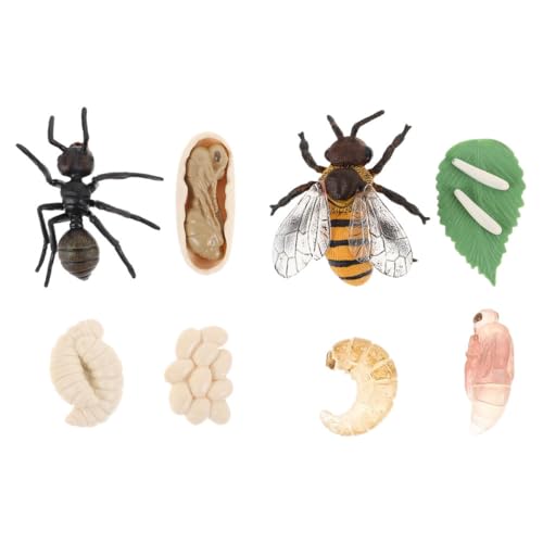 JUMPLAWN 2Sätze Insekten Lebenszyklus Modelle Simulationsspielzeug für Honigbiene und Montessori Lernspielzeug Naturwissenschaften Pädagogisches JUMPLAWN 2Sätze Insekten Lebenszyklus Modelle Simulationsspielzeug für Honigbiene und Montessori Lernspielzeug Naturwissenschaften Pädagogisches von JUMPLAWN