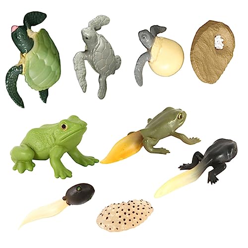 JUMPLAWN 2Sätze Realistische Tierfiguren Frosch Und Schildkröte Für Pädagogisches Lernspielzeug Zur Darstellung Evolution Für Geburtstagsfeiern von JUMPLAWN