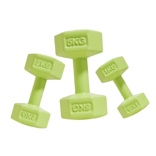 JUMPLAWN 3 Stück Mini Hanteln Puppen Gefälschte Miniatur Puppenhaus Fitnessstudio Zubehör Hanteln Miniaturhaus Sportpflanze Pantoffel Dekoration Schüssel Süßes Set von JUMPLAWN