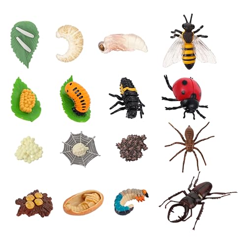JUMPLAWN Spielzeug-Set Detaillierte Modelle Zum Wachstumszyklus Von Insekten Für Das Lernen Und Die Kognitive Entwicklung Von Kindern von JUMPLAWN