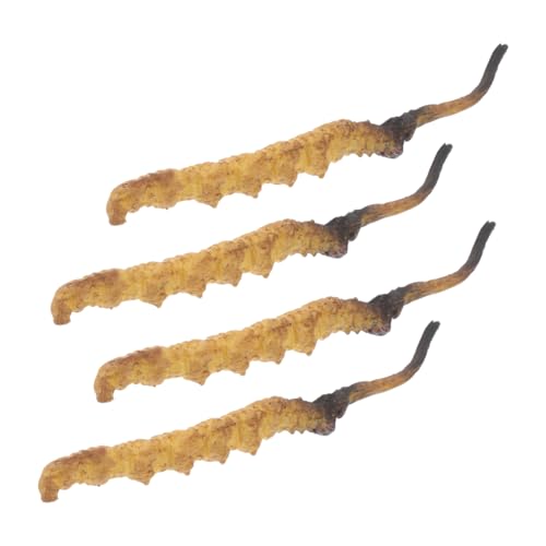 JUMPLAWN 4 Stück Cordyceps -Modell Modell der chinesischen Medizin Arzt Rollenspiel Requisiten Arztzubehör medizinische Spielzeugartikel Arztkoffer Plastik JUMPLAWN 4 Stück Cordyceps -Modell Modell der chinesischen Medizin Arzt Rollenspiel Requisiten Arztzubehör medizinische Spielzeugartikel Arztkoffer Plastik von JUMPLAWN
