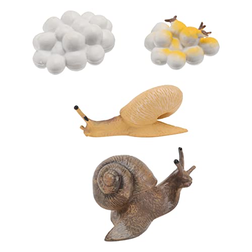 JUMPLAWN 4 Stück Simulierte Schneckenornamente Tierstatue Lebenszyklus Ornamente Tierfiguren Wachstumszyklus Statue Wachstumszyklus Lebenszyklus Kunststoff JUMPLAWN 4 Stück Simulierte Schneckenornamente Tierstatue Lebenszyklus Ornamente Tierfiguren Wachstumszyklus Statue Wachstumszyklus Lebenszyklus Kunststoff von JUMPLAWN