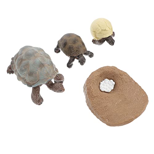 JUMPLAWN 4Stücke Schildkröte Lebenszyklus Figuren Realistische Modelle für Pädagogisches für Schulprojekte und Deko Zufällige Farben von JUMPLAWN