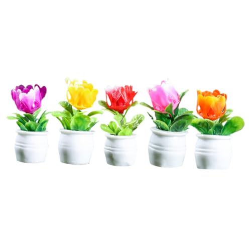 JUMPLAWN 5 Stück Mini-Pflanzenmodell Mini-Blumentopf für den Garten Bonsai-Blumentopf Bonsai-Ornamente Miniaturblumenpot -Ornamente winzige Hausminiaturen Harz von JUMPLAWN