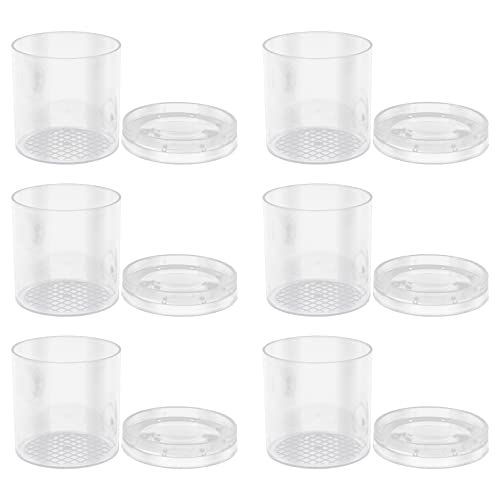 JUMPLAWN 6 Stücke Jagd Töpfe Vakuum Catcher Cookie Jar Beobachtung Biologie Wissenschaft Beobachter Hai Sammeln Töpfe Elektrische Lolly Jar Lupe Air para PVC JUMPLAWN 6 Stücke Jagd Töpfe Vakuum Catcher Cookie Jar Beobachtung Biologie Wissenschaft Beobachter Hai Sammeln Töpfe Elektrische Lolly Jar Lupe Air para PVC von JUMPLAWN