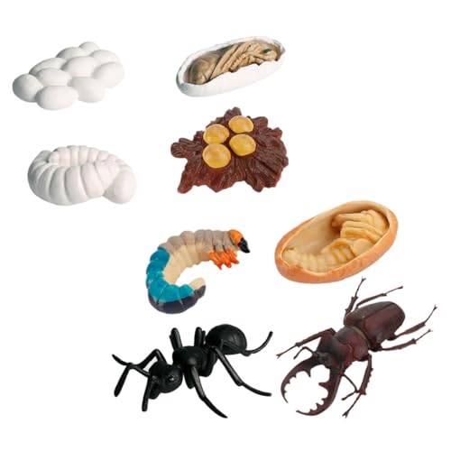 JUMPLAWN 8 Stück Teiliges Ameisen Lebenszyklus Modell Realistische Arbeiterameise Figuren Pädagogisches Insekten Wachstums und Evolutionsspielzeug für Detaillierte PVC Materialien von JUMPLAWN