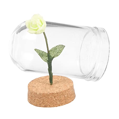 JUMPLAWN Grüne Rose Ornamente Dekoration Minitöpfe für Pflanzen Miniaturen Mini-Kuppeln zum Basteln Miniatur-Blume Minirose in Kuppel Miniaturblume künstlich Glas von JUMPLAWN
