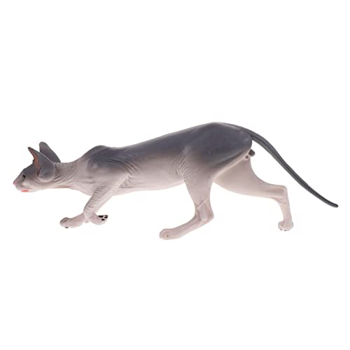JUMPLAWN Haarlose Katze Figur aus Robustem Kunststoff Sphynx Katzenmodell Dekorative Katzenskulptur für Kinder Süße Katzenornament Deko Miniatur Katzenfigur für Garten und Wohnung JUMPLAWN Haarlose Katze Figur aus Robustem Kunststoff Sphynx Katzenmodell Dekorative Katzenskulptur für Kinder Süße Katzenornament Deko Miniatur Katzenfigur für Garten und Wohnung von JUMPLAWN
