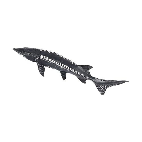 JUMPLAWN Kunststoff Fisch Modell Realistisches Meeres Tier Modell für Pädagogisches Kognitivem Lernen und Kreativität für Hause Auto von JUMPLAWN
