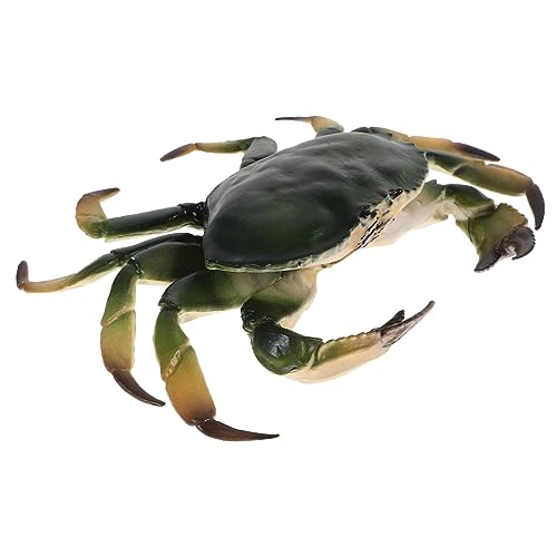 JUMPLAWN Lebensechtes Simulationskrabbenmodell aus Kunststoff Pädagogisches Tiermodell für Kinderzimmer und Aquarium Deko Realistische Krabbenfigur zur Kognitiven und Kreativen von JUMPLAWN