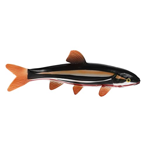JUMPLAWN Lifelike Fisch Actionfigur Realistisches Angelspielzeug für Animal Simulation für Aquariendekoration und Lernspielzeug Langlebig und Stabil JUMPLAWN Lifelike Fisch Actionfigur Realistisches Angelspielzeug für Animal Simulation für Aquariendekoration und Lernspielzeug Langlebig und Stabil von JUMPLAWN