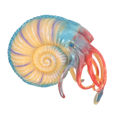 JUMPLAWN Nautilus Modell Aus Hochwertigem Simuliertes Meerestier Mit Feiner Verarbeitung Für Lernspielen Und Visueller Wahrnehmung JUMPLAWN Nautilus Modell Aus Hochwertigem Simuliertes Meerestier Mit Feiner Verarbeitung Für Lernspielen Und Visueller Wahrnehmung von JUMPLAWN